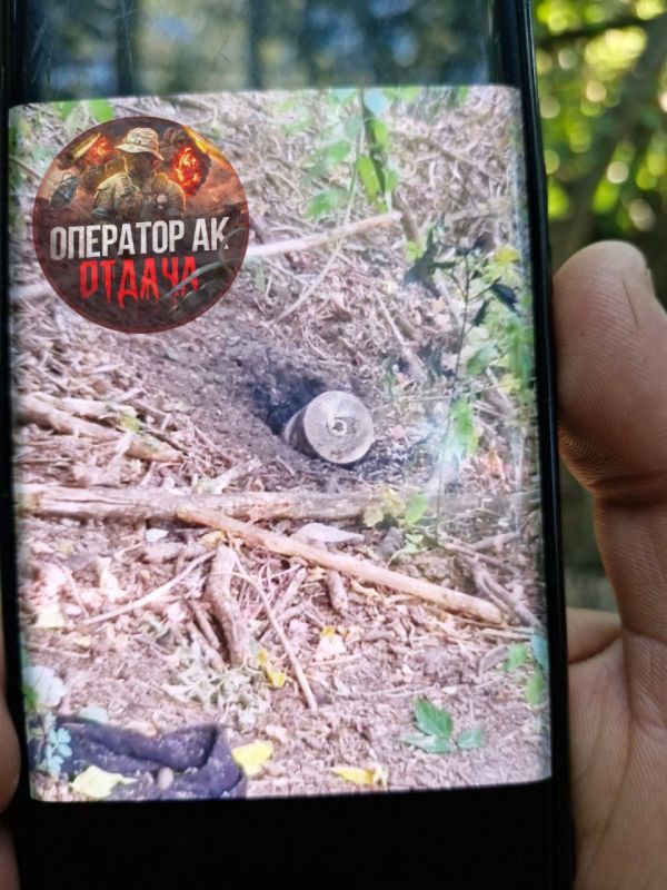 ����� �����: ��� ������ ������������ ������� ������� ����� ������ "������" �� ����������� ������