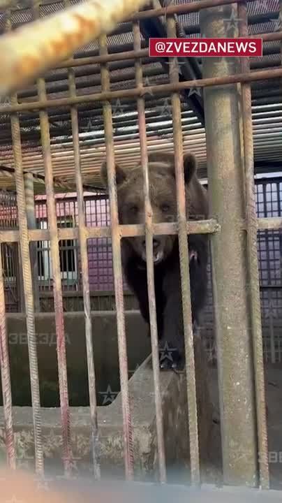 � ���������� ������� ����� ��������� ������ � ����� �������� ������