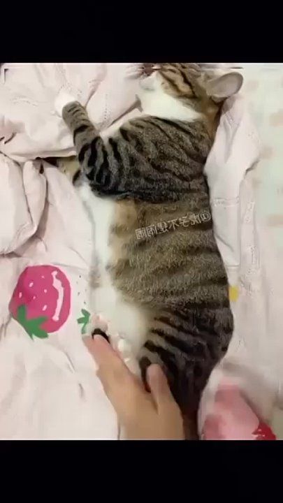 ������� ���� , ������� ������������!