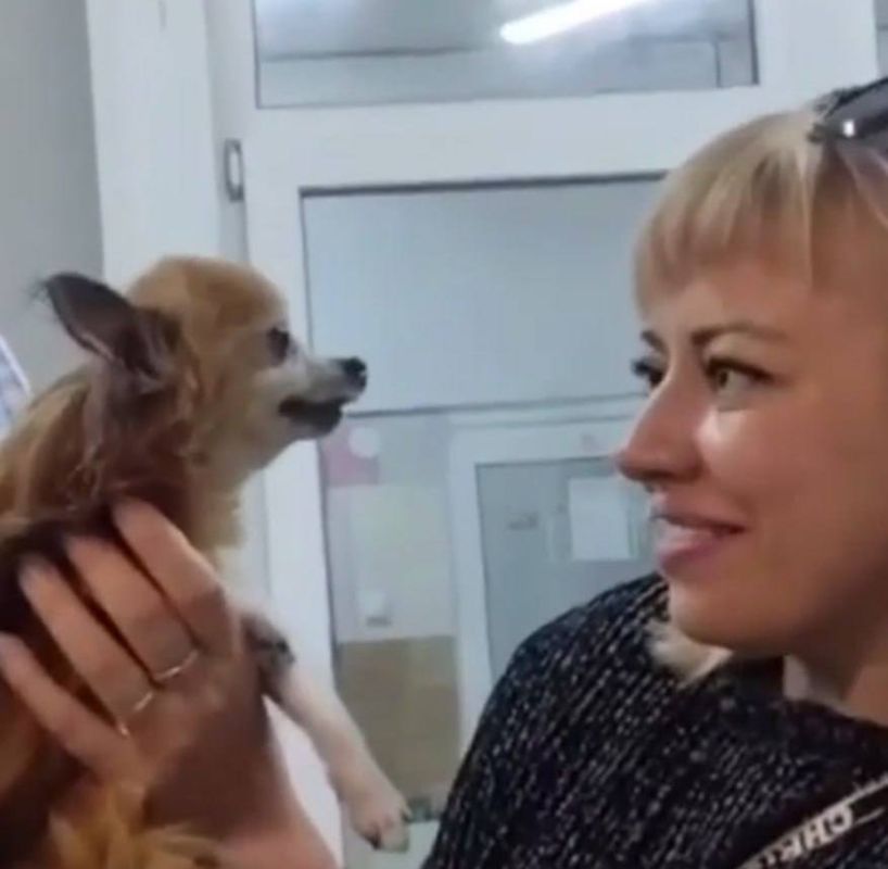 � ��������� �������� ��������� ����� ����� ��� ���� ����� ���������
