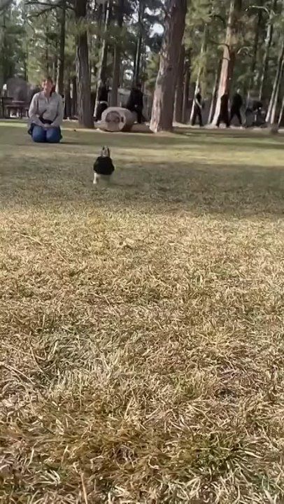 ����!. ��������� ��������!! �������������� ��