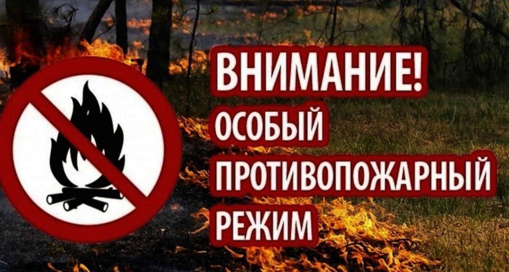 ������ �������: � ����������� ������� � ���������� ����������� ��������������� ������������� ������� � ���������� ������� ����������� ������� �������� ���������