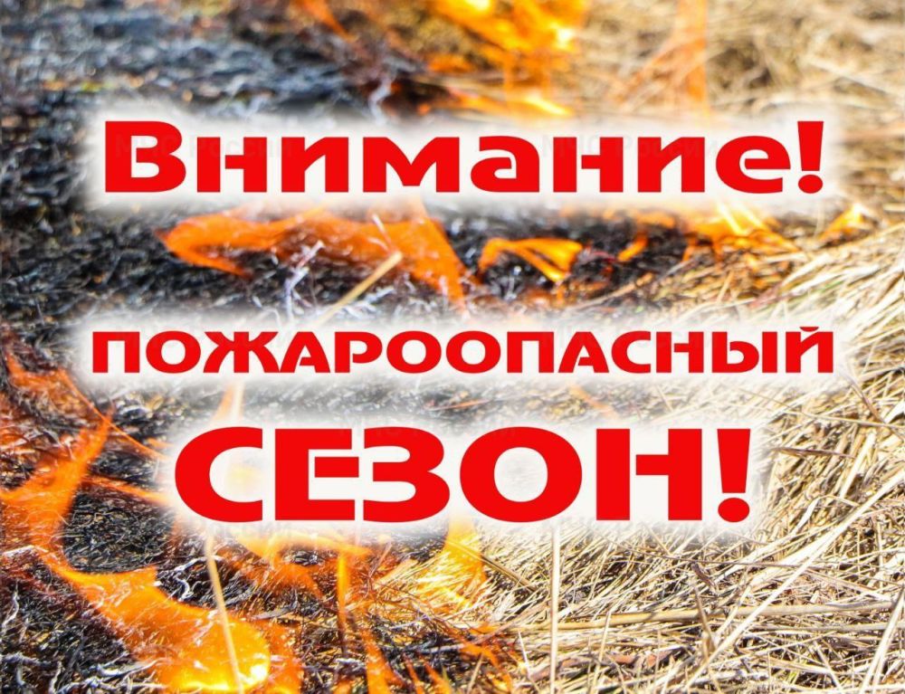 ������������ �������, �������� � ���������������� ����������� ������� �������� � ������ �������������� ������ � 11 ������ 2024 ����