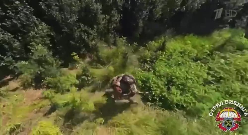 � ����� ������ ��������
