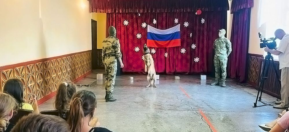 ��������� � ����������� ������������ � ����������� �������