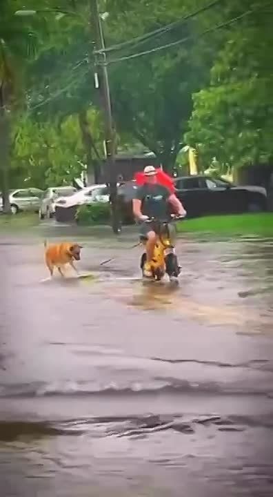 ���� �������� �� ������