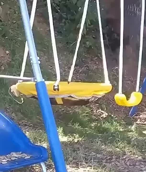 ��������� � ������� ���� �����