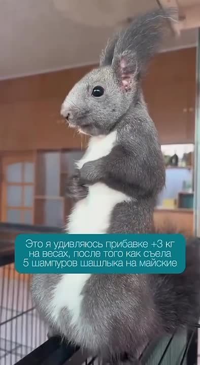 �������������� ��