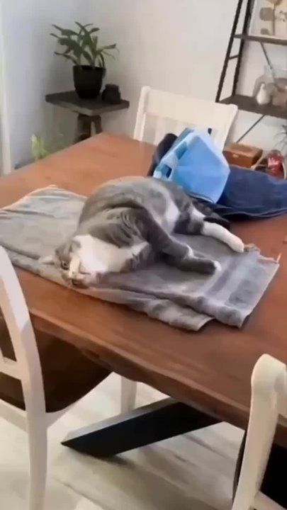 ����� ��������� ������, ����� ���� ����� ��� �����