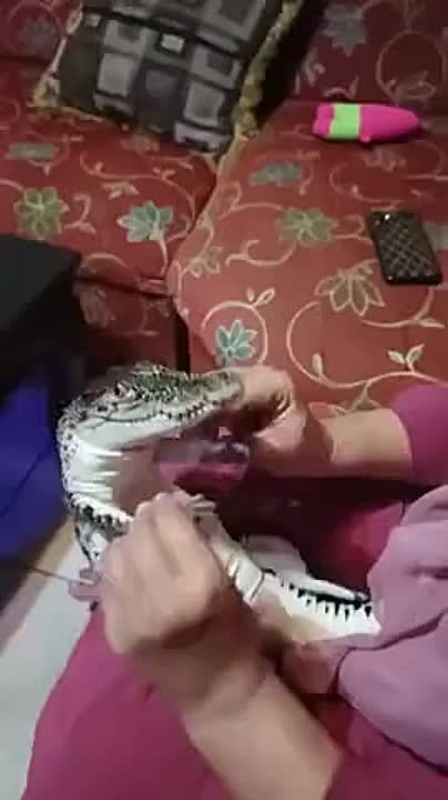 ������ ����, ������!. ����� �����������! �������������� ��
