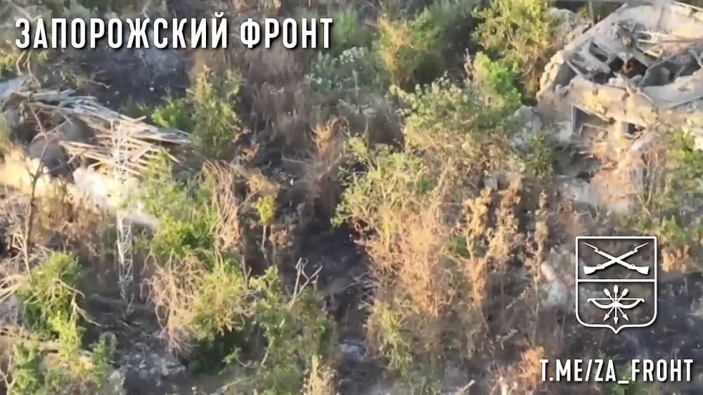 ����� �����: ���������� 392 ����� ���������� ��������� ������� � ���������� �� ����������� �����������