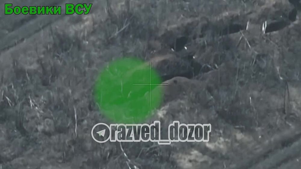 ��������� FPV-����� � ���� � ���������� � ����������� �������