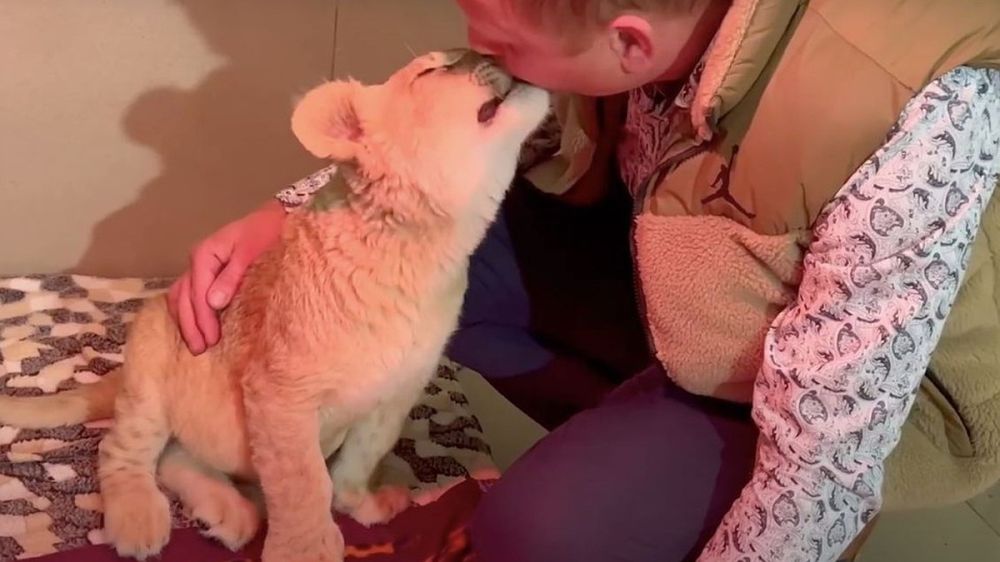 ���������� ������ �����, ������� �������� �� ���������� � ����, ����� ��������