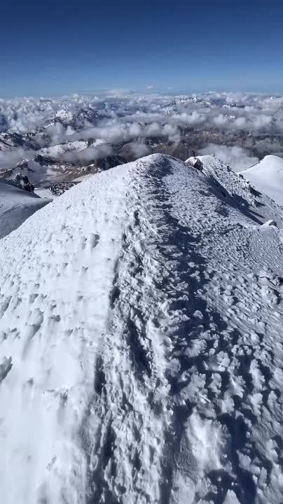 ���������� � ���������� �� ����