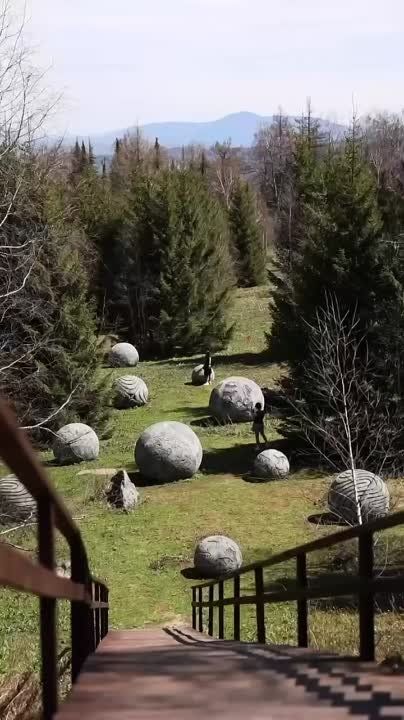 ���� ���������� �������� ������