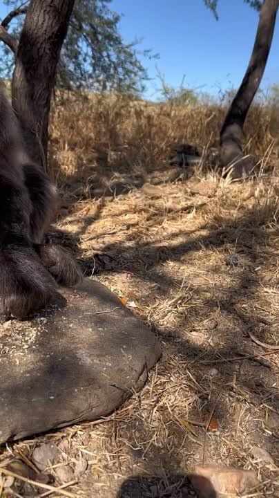 ������������ �����������������