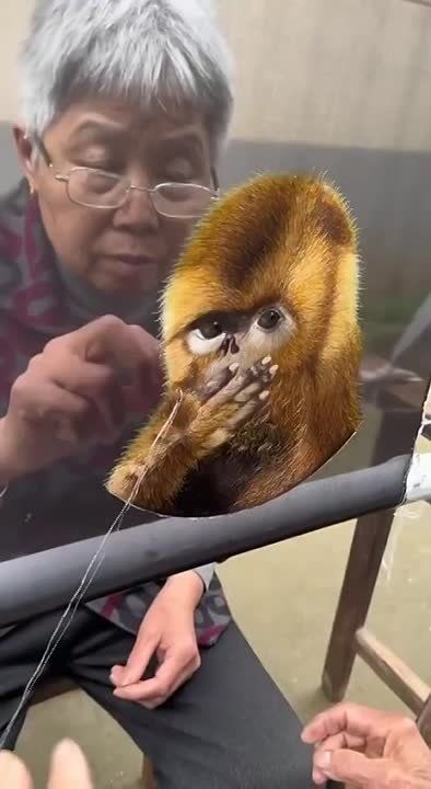 ��������� ������� ������������ �������
