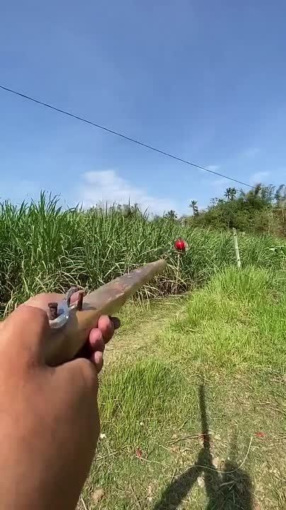 �� �������, � ��� ������: ����������� ������� �� �������, ������� � �����