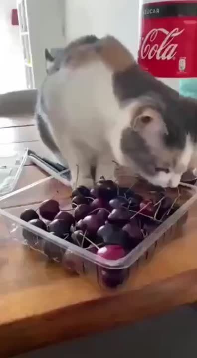 ����!. ��������� ��������!! �������������� ��