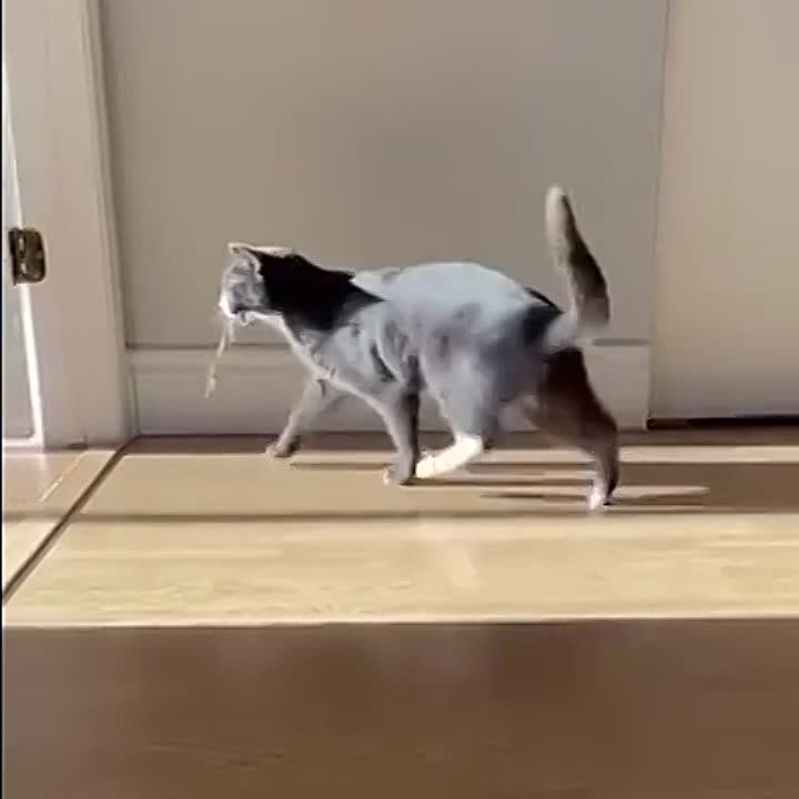������ ����!