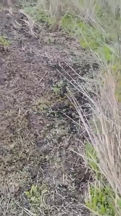 ���������� ������������ ������ ���������� ������� � ��������� ���������������� ������