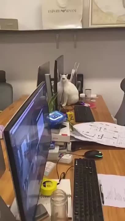 � ����� ������� ������ �� ��� ��������� ���� �������� ��� ��, ��� ���� ���