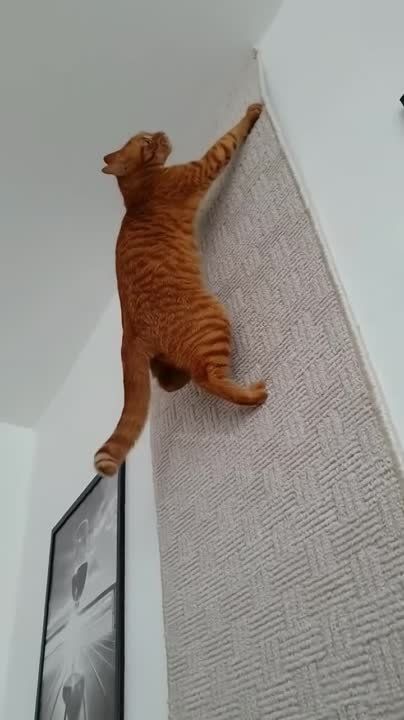 ������ ����!