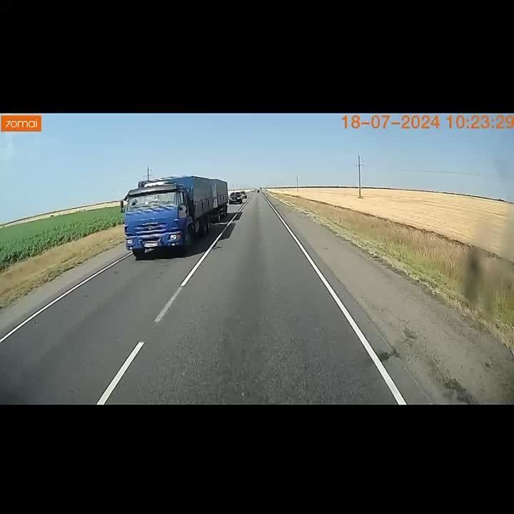 ����� ���������������� ���� ������ ����������� �����������
