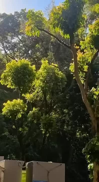 � ����� ������ ���������� ��������