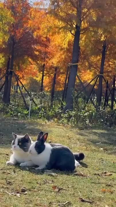 ������ ����, ������!. ����� �����������! �������������� ��