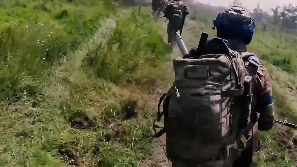 ����� �����: ������ ������������ ��� � ����������� �������, 2023 ���