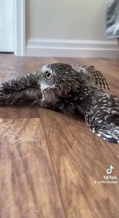 ������ ����!