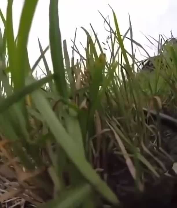 ���������� ������. ������ ������ �������� � ������������ � ���, ��� �� ����� �����