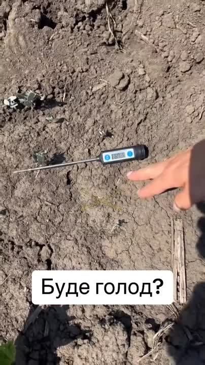 ��������� ��������� ����� ������������� - �����
