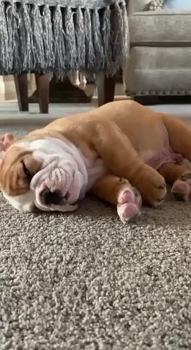 ��������� ����, ������� ������!
