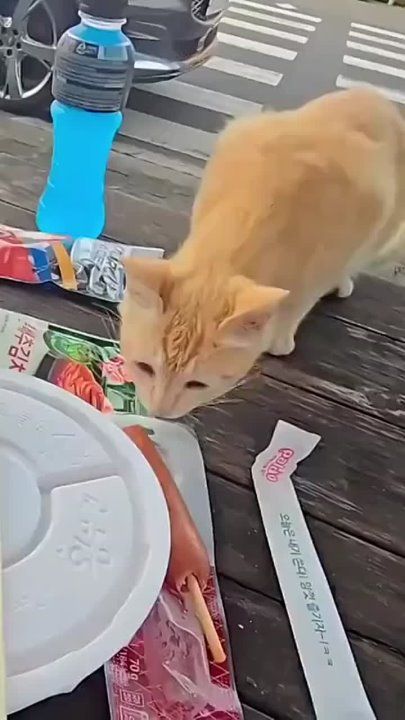 ����!. ��������� ��������!! �������������� ��
