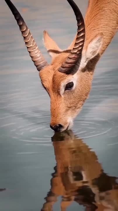 ������� � ��������� ������ ��������� �������� �����