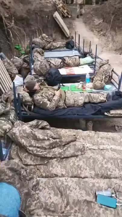 ��� ��� ����������� �������� ������ ���������� ���� ���������� ��������� ����������� ������ �������