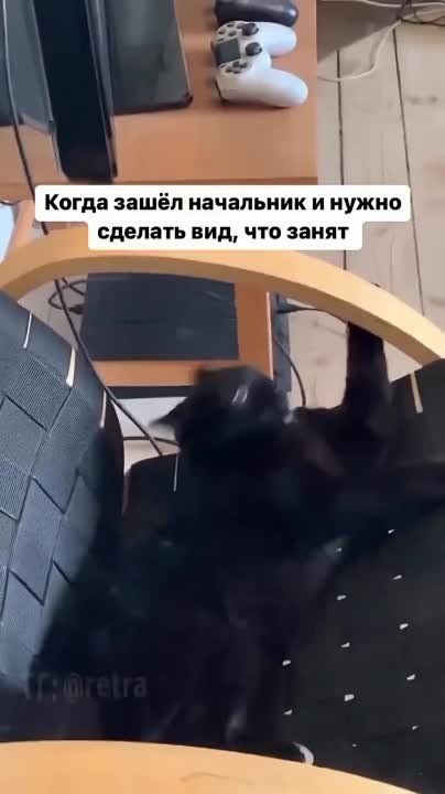 �������������-�������. ����� �������������������