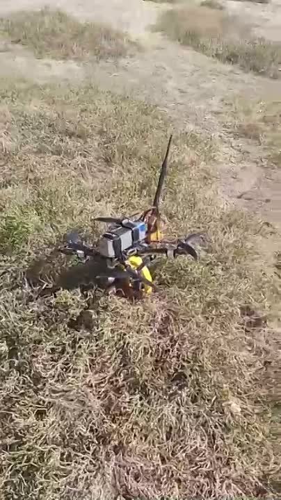 ����� ��������� ��������� "������������" ������������ ������ ������