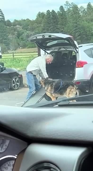 � �������� ��� �������� ������