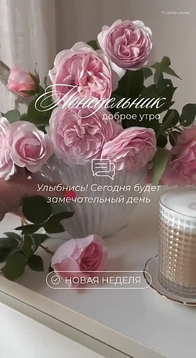 ������ ���� !