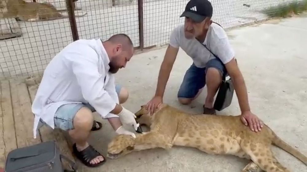 ����� �������� ������� ������� ���������� ������ �����, ������� �������� �� ���������� � ����