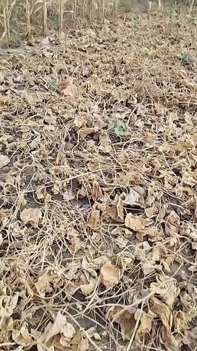 �� ��� � ���� ���� ������ �� �����. �� �� ��� �� ����� � ��� ������ ������ � ���������� ������� ��������, ��� ������ ���������� � ������� � ����������