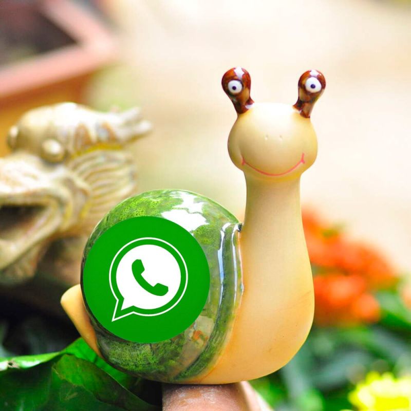 ������ ������� ���������� ������ WhatsApp, ������ ��� ������� ���� �������� ������� �� �������������� ��������, �������������� ����������� � ����� ����� ������