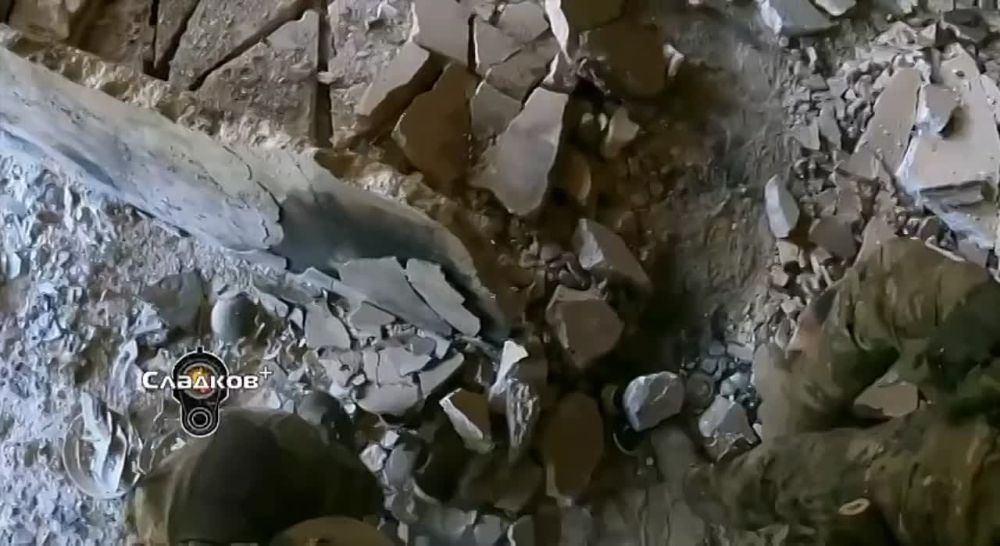 ���������� ����� �������� ��������� ��������� �, �������� �� ����� ����������, �������� �� 50 ����� � �����