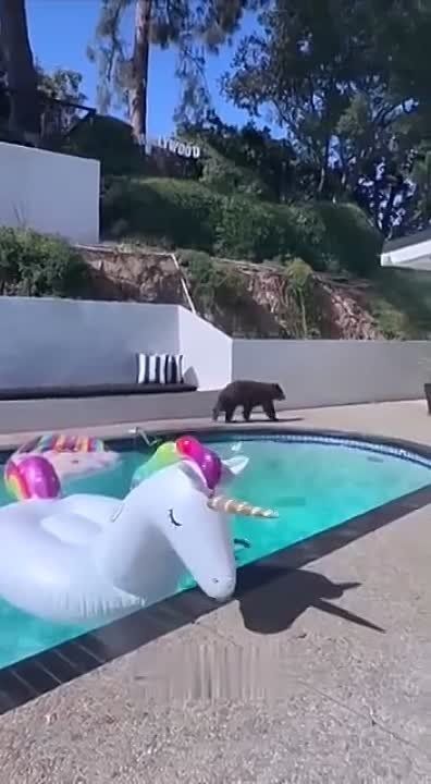 ������ ���� � ����� �������