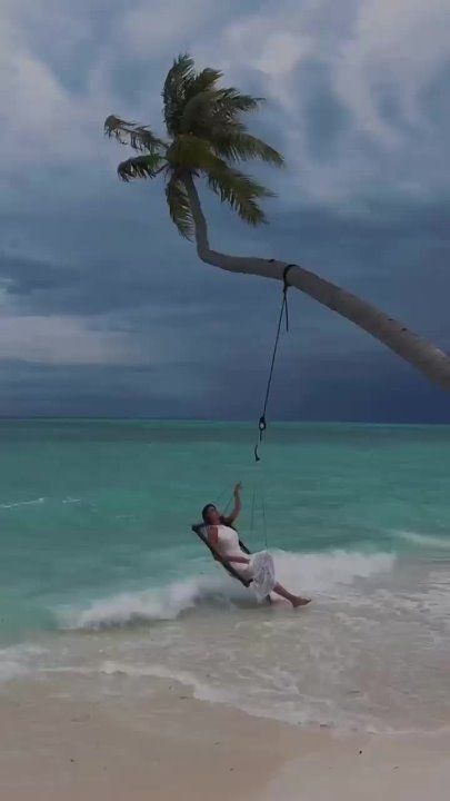 �������� - ������� ����� ��������� �������, ������� ������� �������������, ��������� � �������������, �������� ������������ ����� � �����