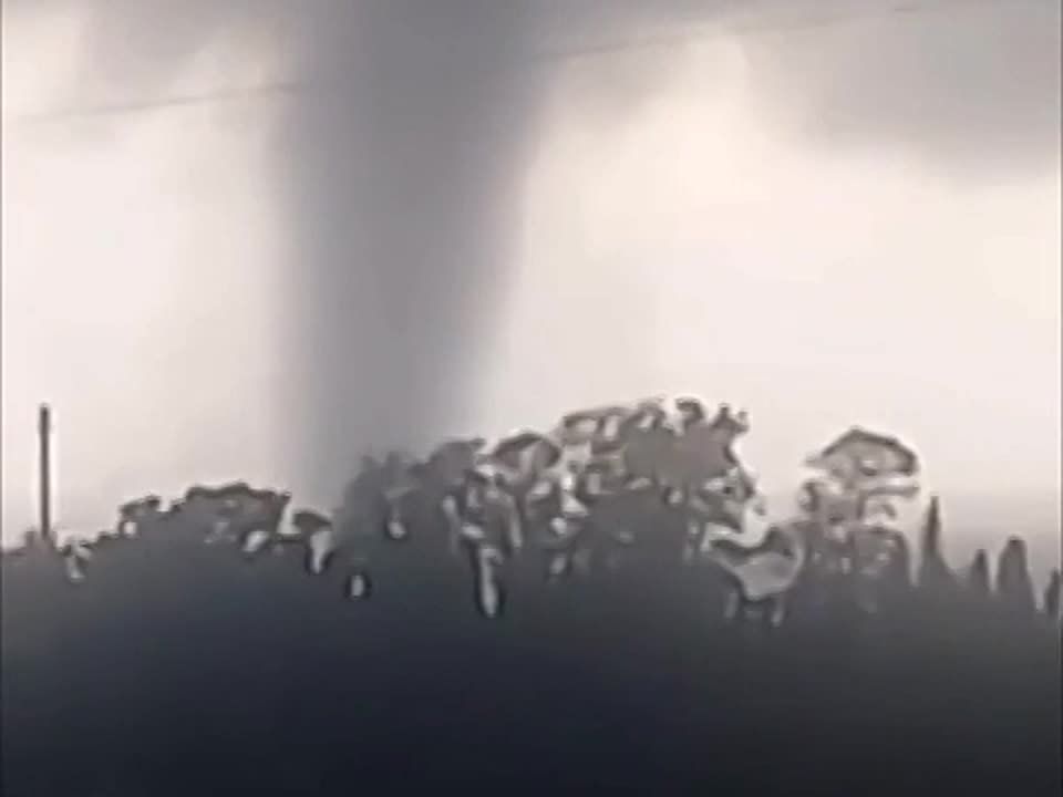 ����� ����������� �� ���� �������� �� ����, �������� � �� ���