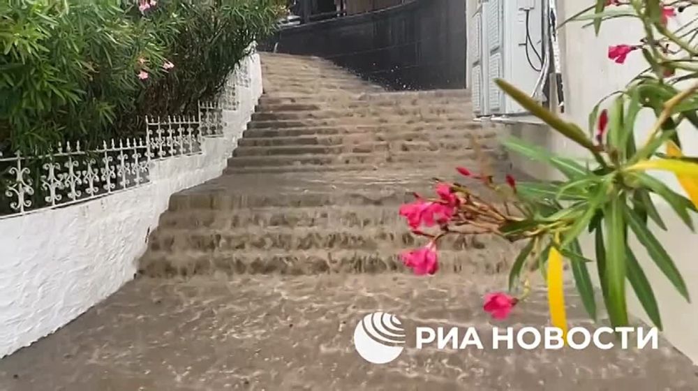 � ���� ���������� ������: �������������� ������� � ������� ������ ������ ���� � �����, ���������� ���������� ��� �������� ����������